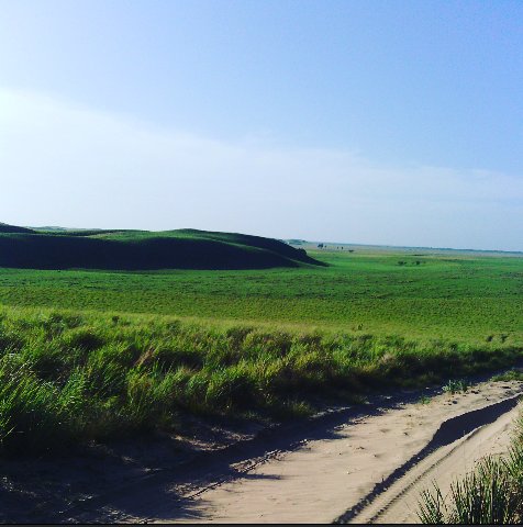 Apurelmascrioll's tweet photo. "El verde sabana en mayo" https://t.co/wWuOjyUcsn