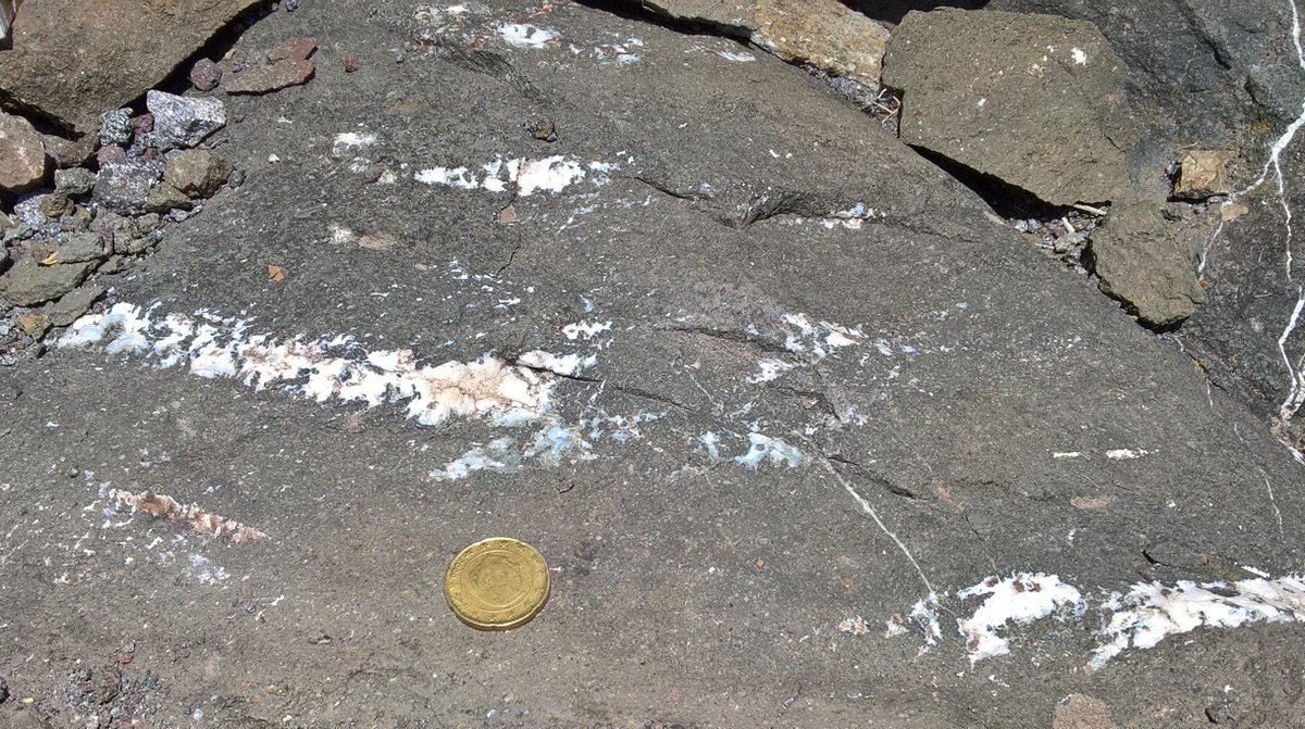 The Rock Library tweet media