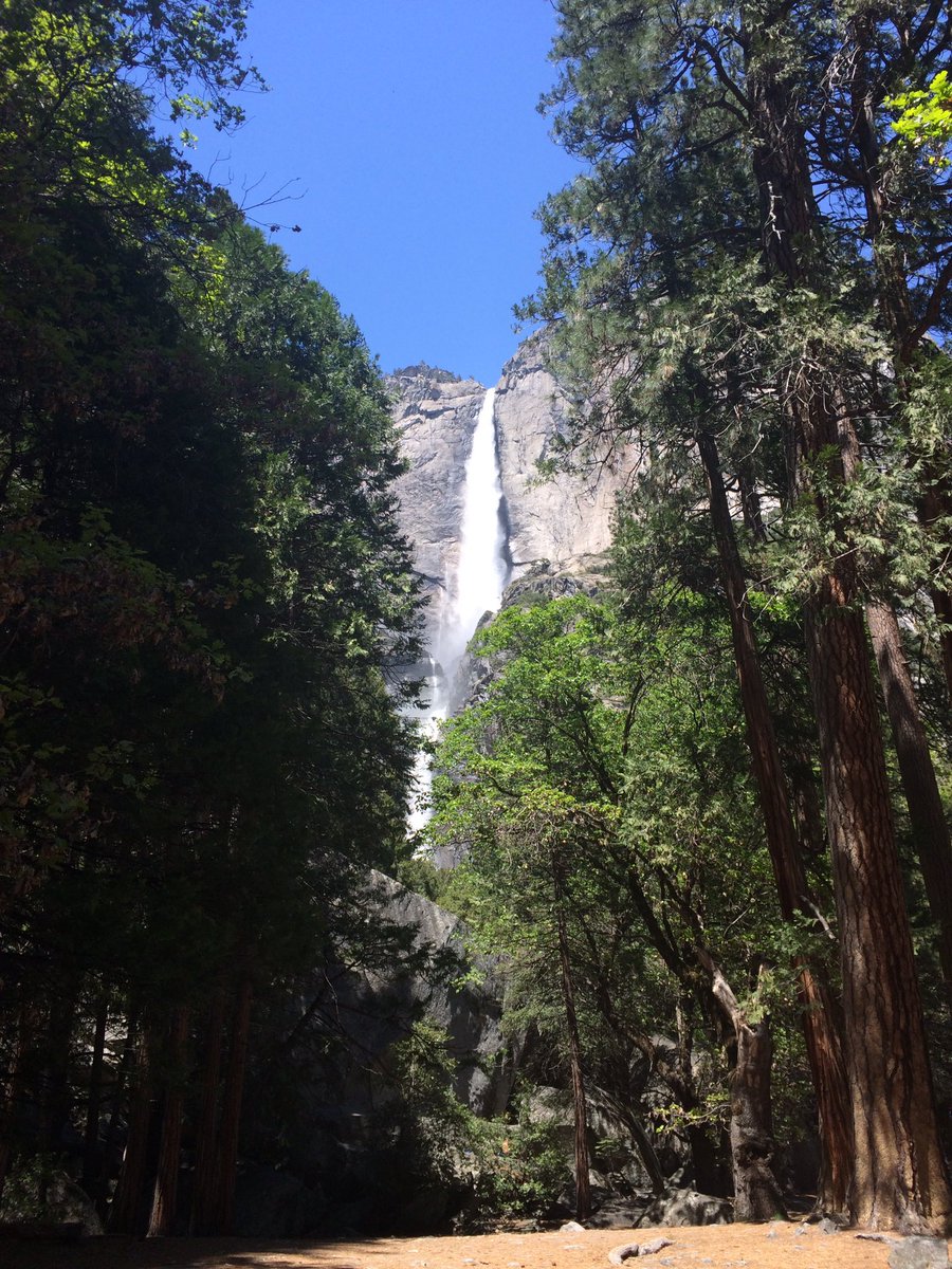 mcnabnic's tweet photo. I've been to beautiful places on this trip, but Yosemite takes the crown #iamgroup🇺🇸 #Yosemite #waterfall #largestinnorthamerica https://t.co/WzhoI9Pxmy