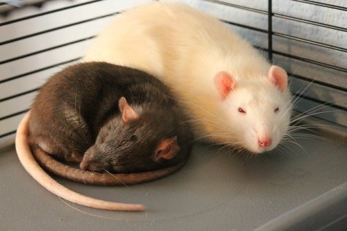 turn off the lights plz