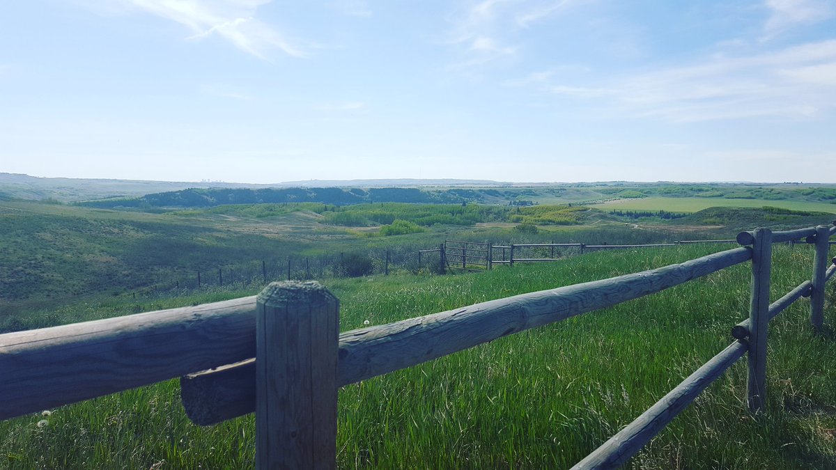 HolisticBrooke's tweet photo. Beautiful Alberta. #yycliving #naturelover #walkinginparadise #rollinghills #greenery🌿 #dogwalks #maketimetounplug #beautyeverywhere https://t.co/2g1UFuF9vn