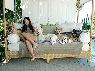 Happy birthday to animal rights activist and serial dog rescuer Maggie Q!   