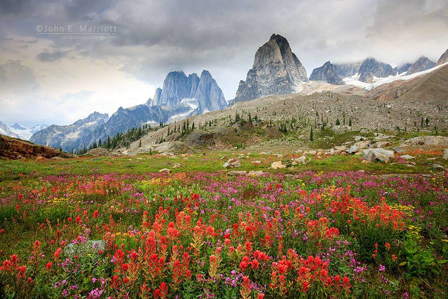 Join <a href="/JohnEMarriott/">John E Marriott Photography</a> for a photo workshop in the Bugaboos! Details: ow.ly/VVGh30b3Vwa  #summertravel #exploreBC
