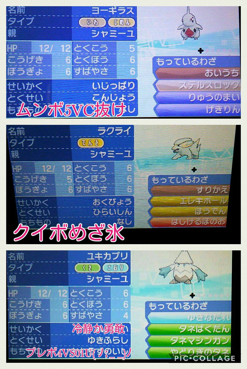 Yan ポケモン Ri Ri Ririri Twitter Yan ポケモン Ri Ri Ririri Twitter