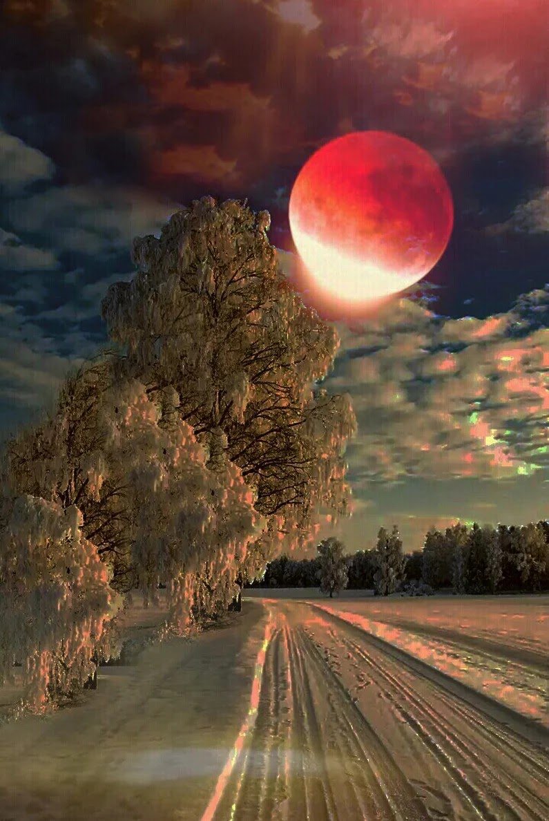 aleman_reginal's tweet photo. @Rosana2418 @luizlaplongo @SIzabel24 @asjadawan1 @LRAdele @annabelmonte50 @ElenarussoTW @Grgre83_1 @hopetrent07 @carminecapoccia @guema71 https://t.co/EQUwAVP1H9