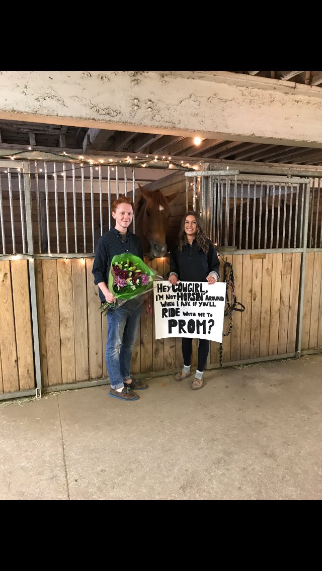 DVSS Promposal tweet media