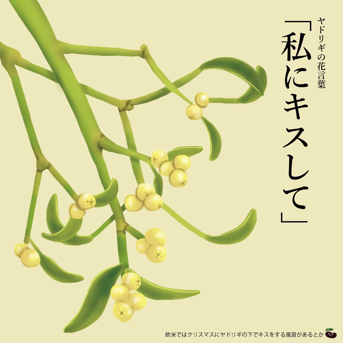 すべての美しい花の画像 ぜいたくヤドリギ 花言葉 すべての美しい花の画像 ぜいたくヤドリギ 花言葉