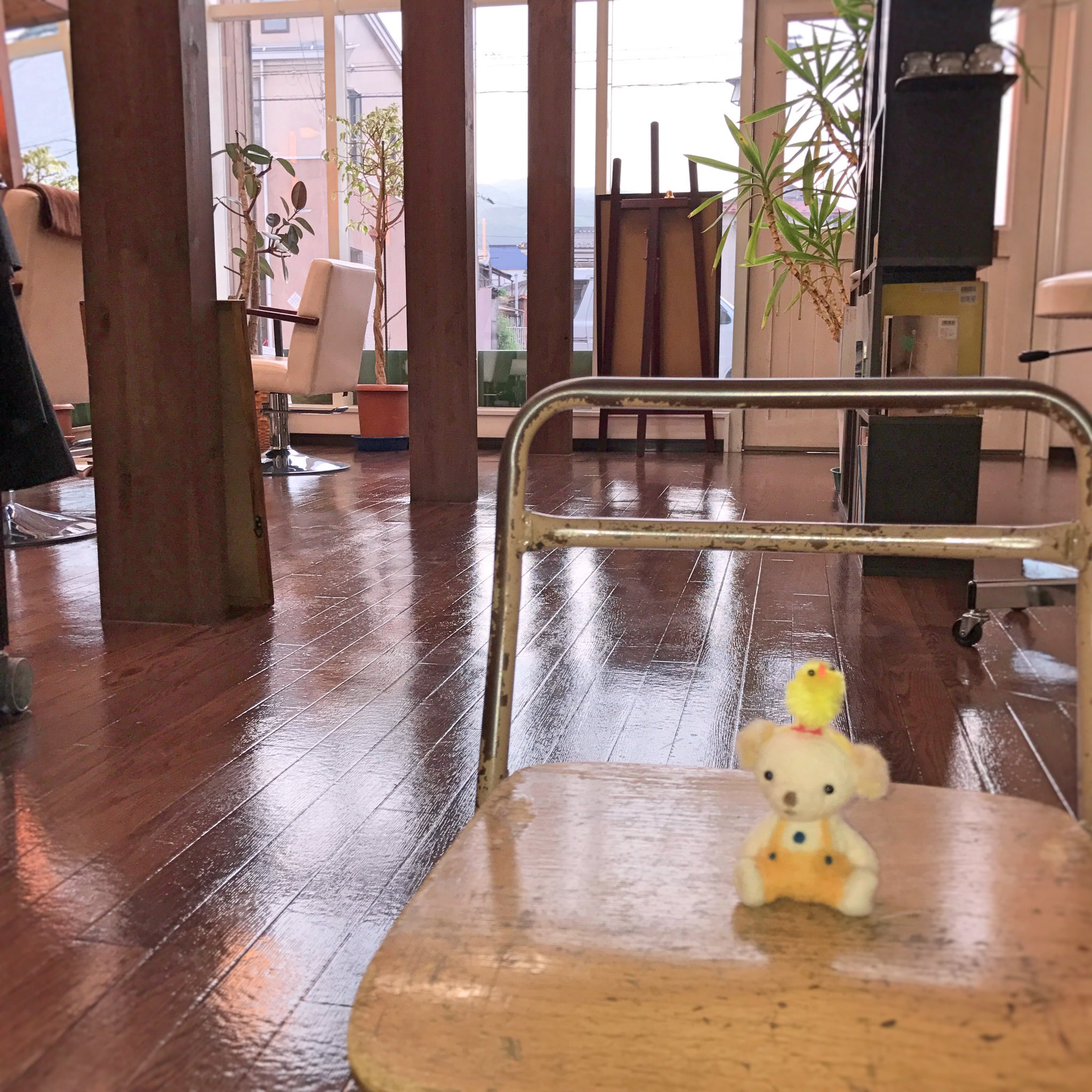 ふらっフィー Twitter Search Twitter