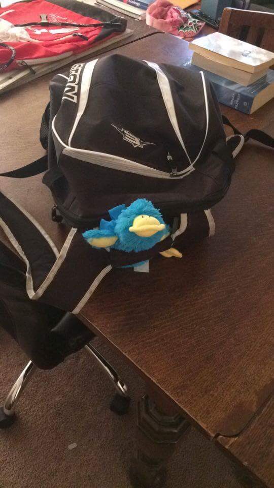 BearBankai's tweet photo. my bro getting stacks @PlatyyD https://t.co/i1bf1TfngG