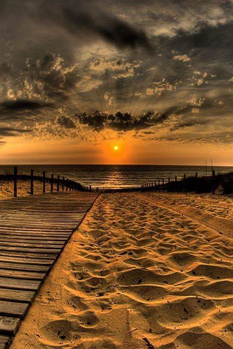 aleman_reginal's tweet photo. @SAvizari Thanks you my dear friend 💕👍 https://t.co/bozIZJzt6L