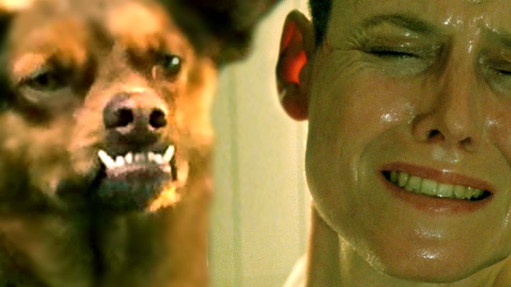 Ver imagen en Twitter Ver imagen en Twitter