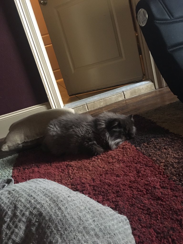 ToastyFrag's tweet image. Aww! How Adorable