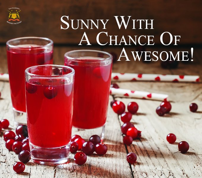 TheMooseFactory's tweet photo. It's always Sunny with a Chance of Awesome when you order one of these! https://t.co/7qmDJj4zDw