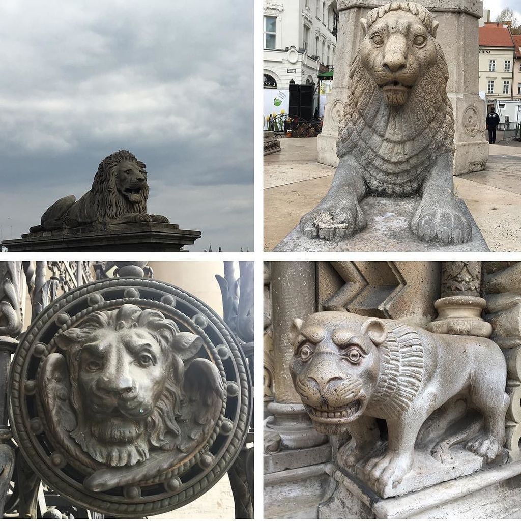 Lions of Budapest. #lions #lionsculpture #lionsofbudapest #budapest #lionsofeurope ift.tt/2rJRc4z