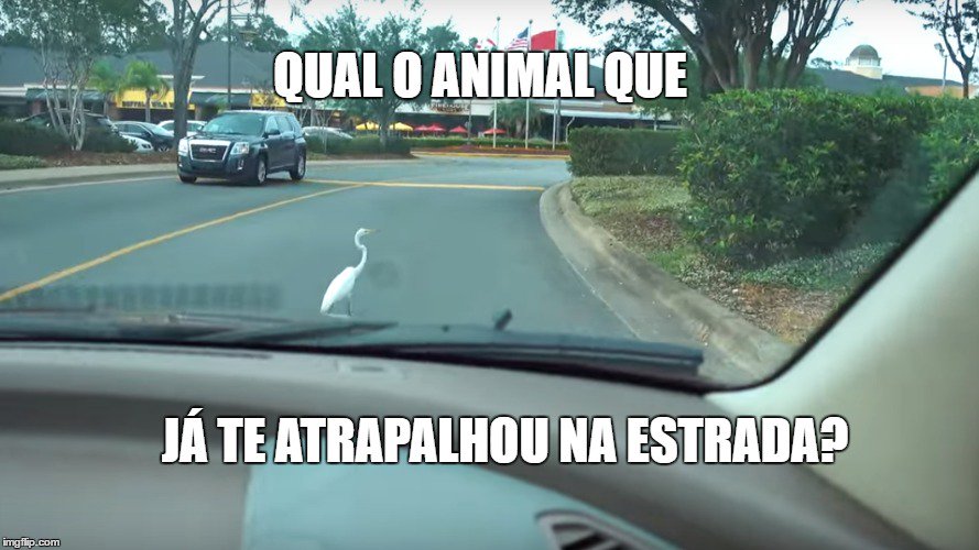 lojayouneek's tweet photo. Acontece com todos nós #NGTEAM https://t.co/VShbLbgW4C