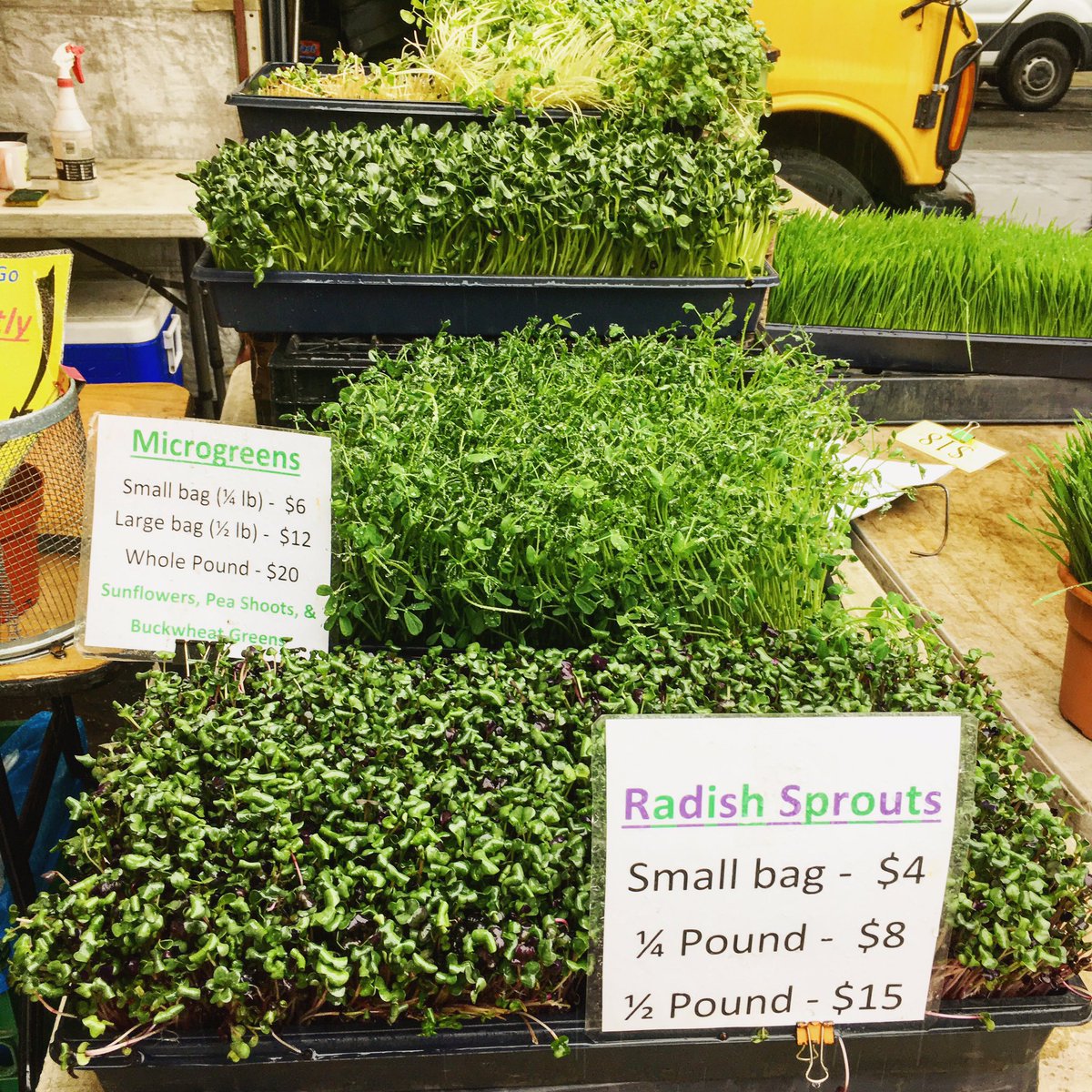 thelunchmason's tweet photo. Gloomy NYC days are brightened by these gorgeous micro greens from @unionsquaregrassman @unsqgreenmarket https://t.co/DiRqg6pYrL