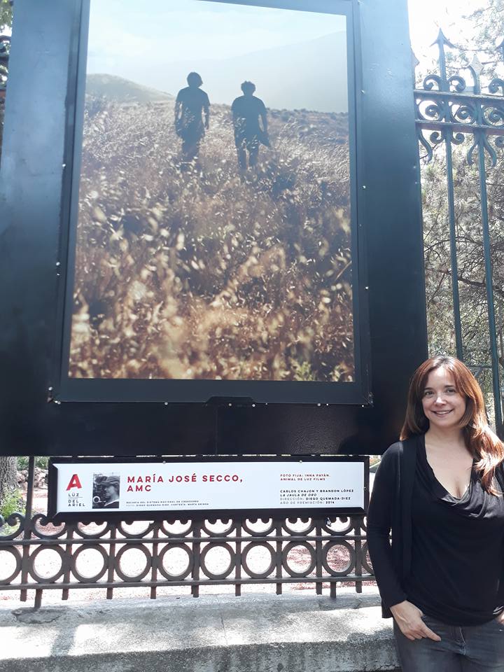 AMC_Cinefoto's tweet photo. Infinitas gracias a la @AcademiaCineMx por la exposición La luz del Ariel. Cinefotógrafos ganadores en las Rejas de Chapultepec https://t.co/QoclSPqWTZ
