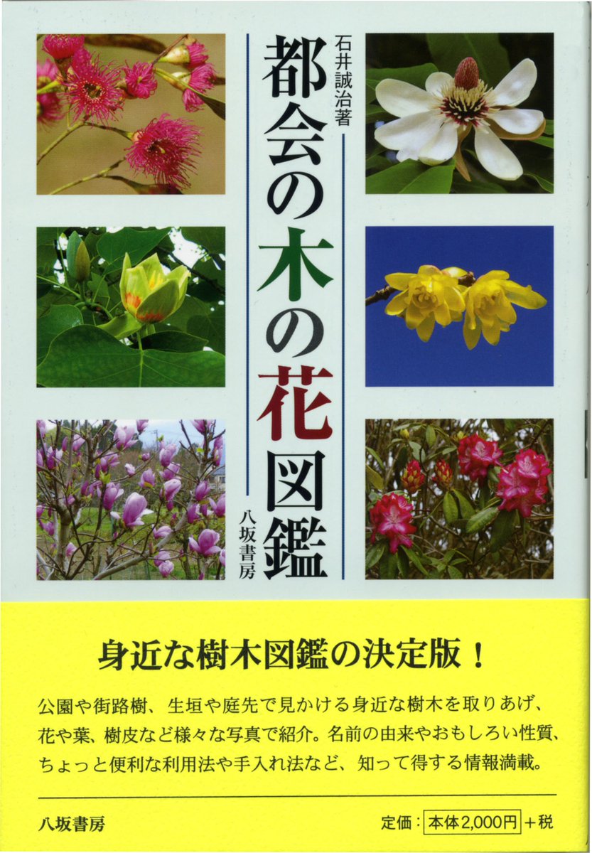 ট ইট র 八坂書房 おすすめ書籍 身近な植物 これなんて名前だろう というときに 都会の木の花図鑑 T Co 0ftbrztvfn 都会の草花図鑑 T Co Twpalxqcsp 都会の木の実 草の実図鑑 T Co 1u6qywczyr 植物 T Co