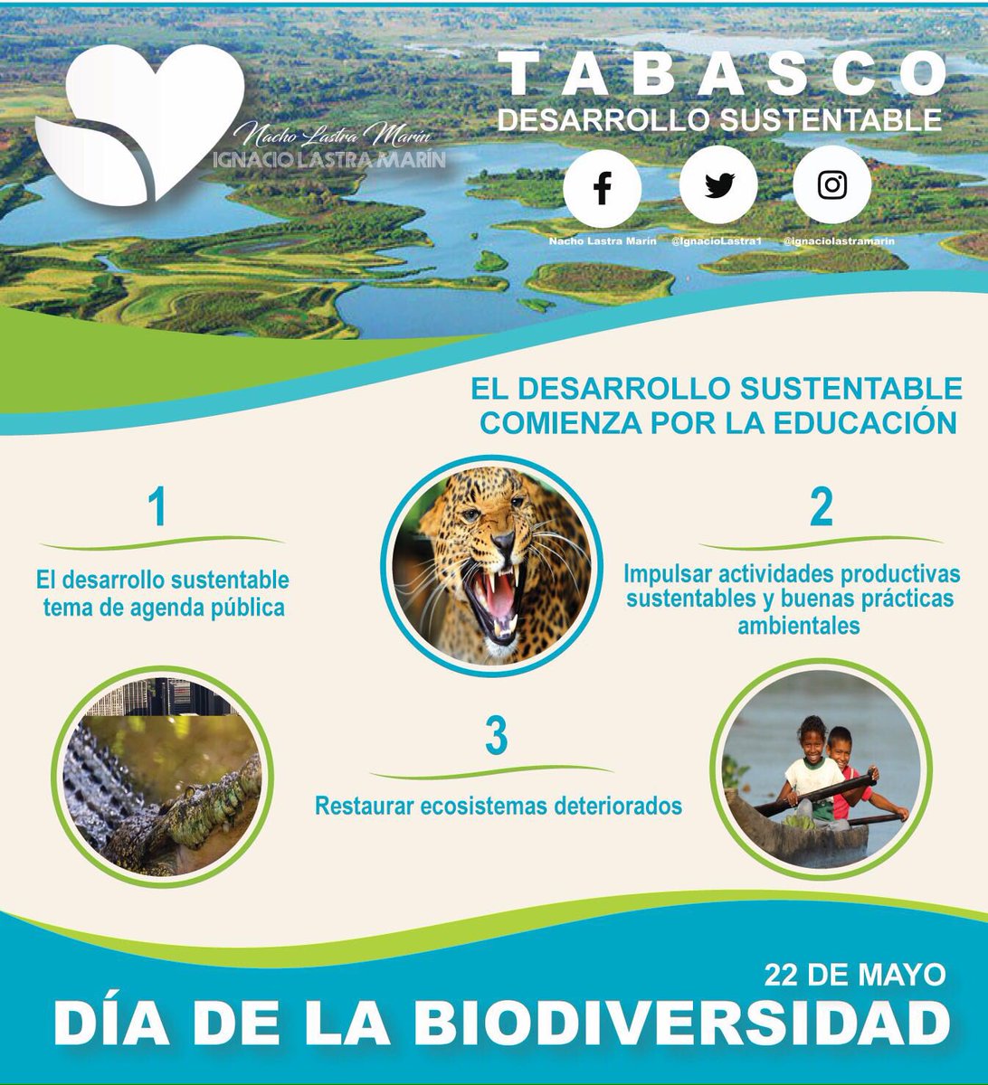 Tabasco posee gran riqueza en biodiversidad, cuidemos nuestro hogar. La educación es la clave #DíadelaBiodiversidad #SueñosHeredados