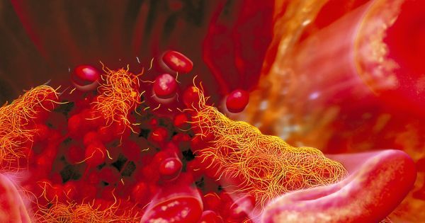bitnaviblog's tweet photo. Good news for women suffering from infertility - 3D printed ovaries could help in future
https://t.co/qNuE4D4dYq
#infertility #bitnaviblog https://t.co/o35bfwfRpf