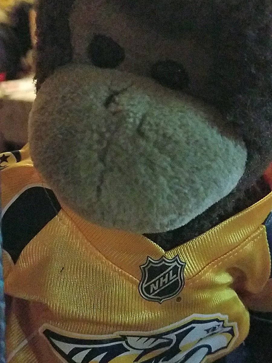 Shaolindamonkey's tweet photo. #standwithus #Predators #ANAvsNSH #predsmonkey https://t.co/UOK2Qg7GJM