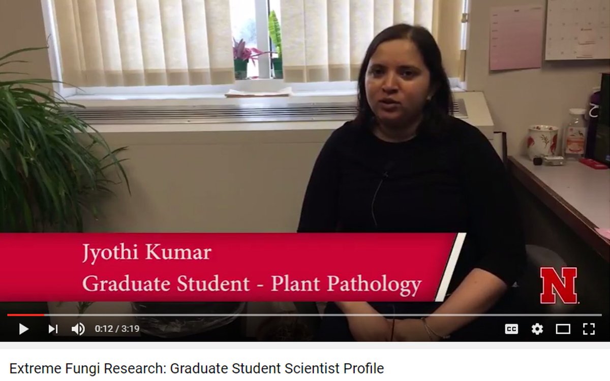 My wife @Jkumar_21 explainin her research &amp; #SCImPLE as part of streaming science project <a href="/unlagrohort/">Nebraska Agronomy and Horticulture</a> <a href="/UNLPlantPath/">UNL Plant Path Grads</a>
youtu.be/EsIXvba0vGc
