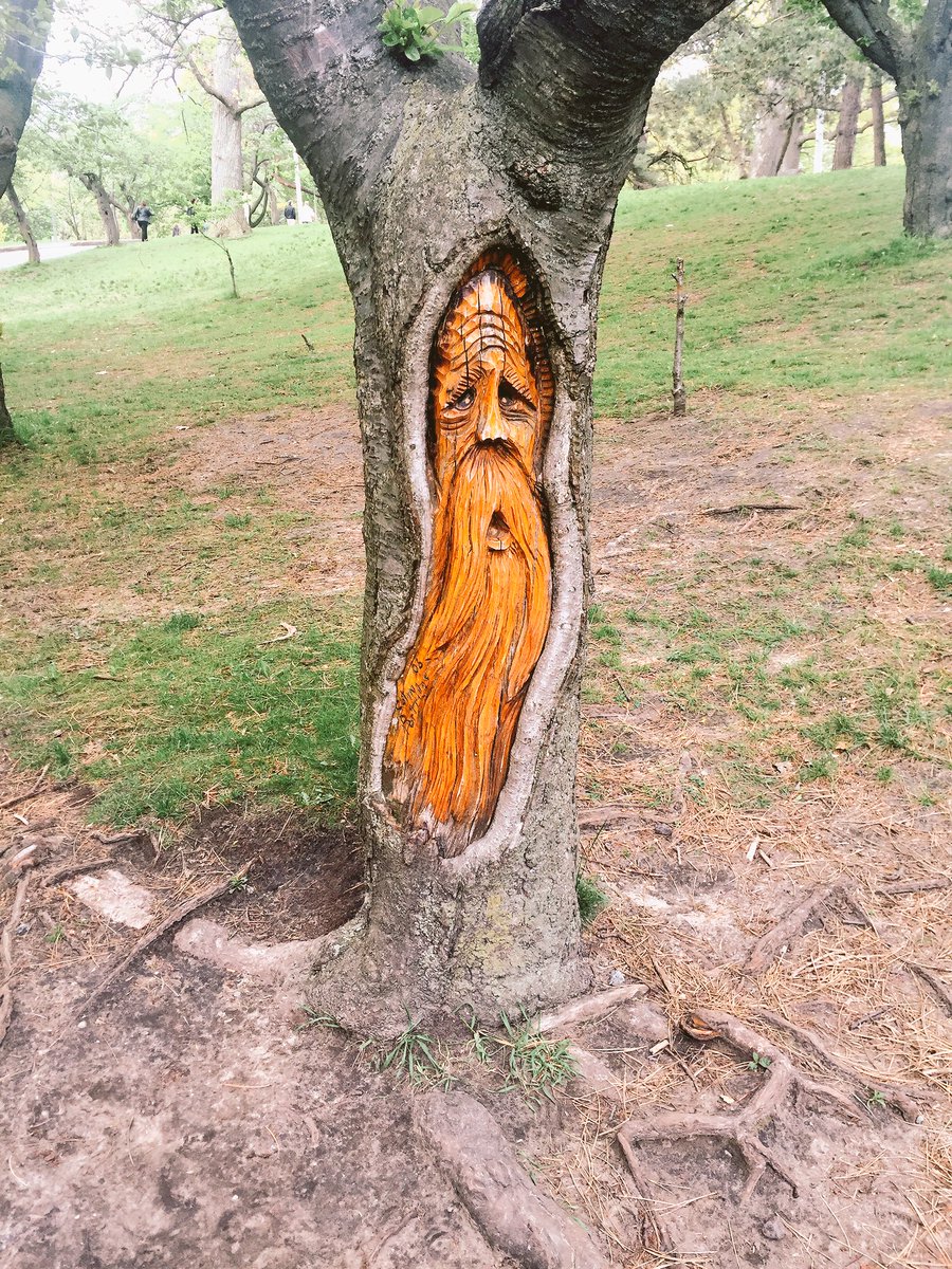 morgansanchezx's tweet photo. Today in #highparkto https://t.co/AEleaFATWu