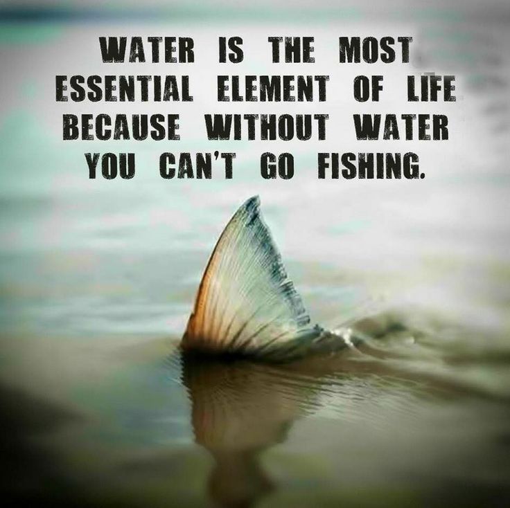 fishingmindshop's tweet photo. https://t.co/3hldMPOANp
