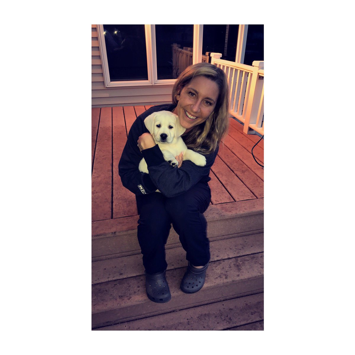 mandywillyard's tweet photo. Welcome to the family Abby! #ivorylab #abbycadabby https://t.co/NedyyHLDQi