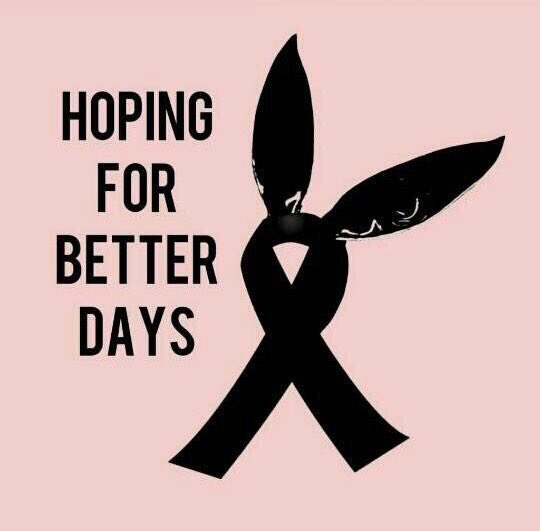 palanttt's tweet photo. Fue Ariana, pero pudo haber sido tu ídolo. Le tocó a su fandom, pero pudo haber sido al tuyo. Necesitamos paz y rápido #PrayForManchester https://t.co/VcNxyj5ycg