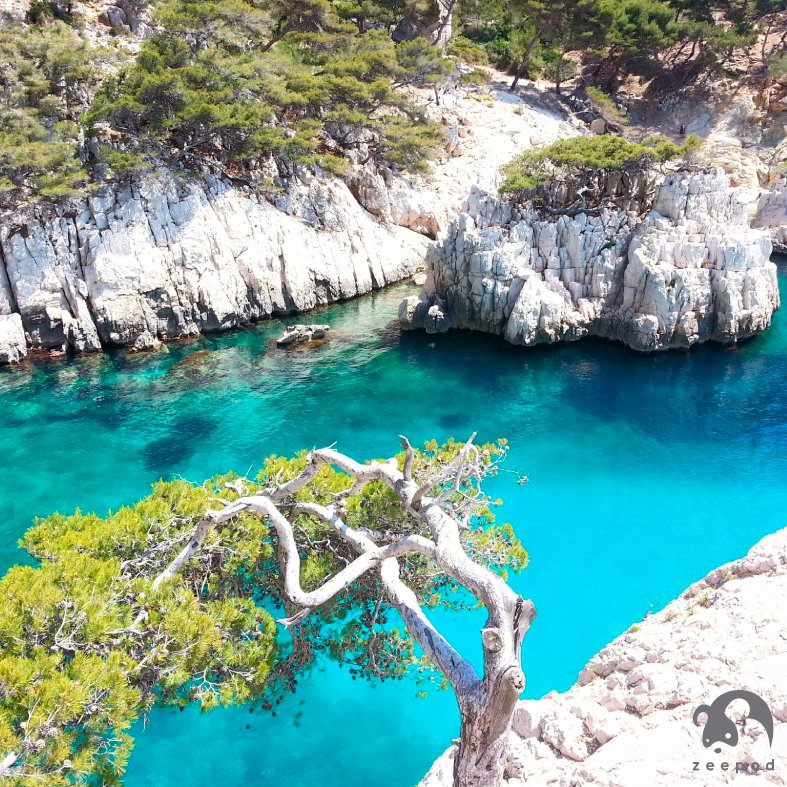 zeepodapp's tweet photo. Some of the beaches with the most crystalline water in the world. < Bora Bora - Corfu, Greece - Calanque, d´En-Vau, Francia> #travel #zeepod https://t.co/EskYn8QxH3