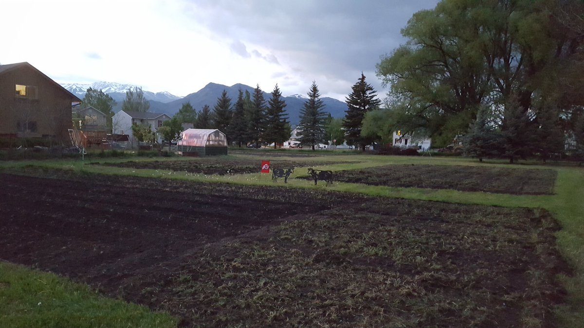 Hey! Hope you're gardens are coming along!