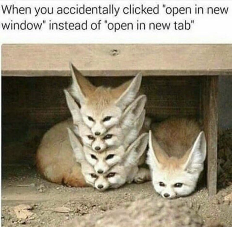 RobertIDK tweet media