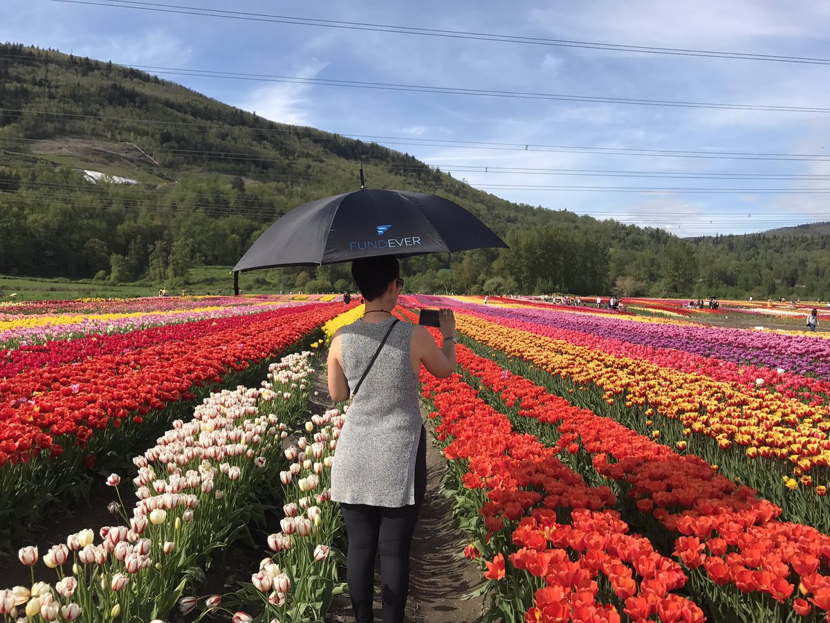 fundever's tweet photo. Happy Victoria Day! Tulip 🌷 Festival. #fundeverswag https://t.co/KwJECnuL6Q