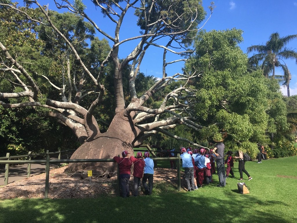 helfar85's tweet photo. Walking the same way Alexander walked with his family. Look there's the bottle tree! @_leanne_h @AuburnWestPS https://t.co/Vw0BRiB8ps