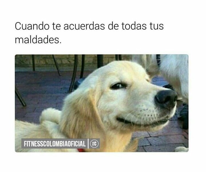 Francy_Serrano's tweet photo. Ey tu, feliz noche 🙈😏 https://t.co/l4YKGGux78