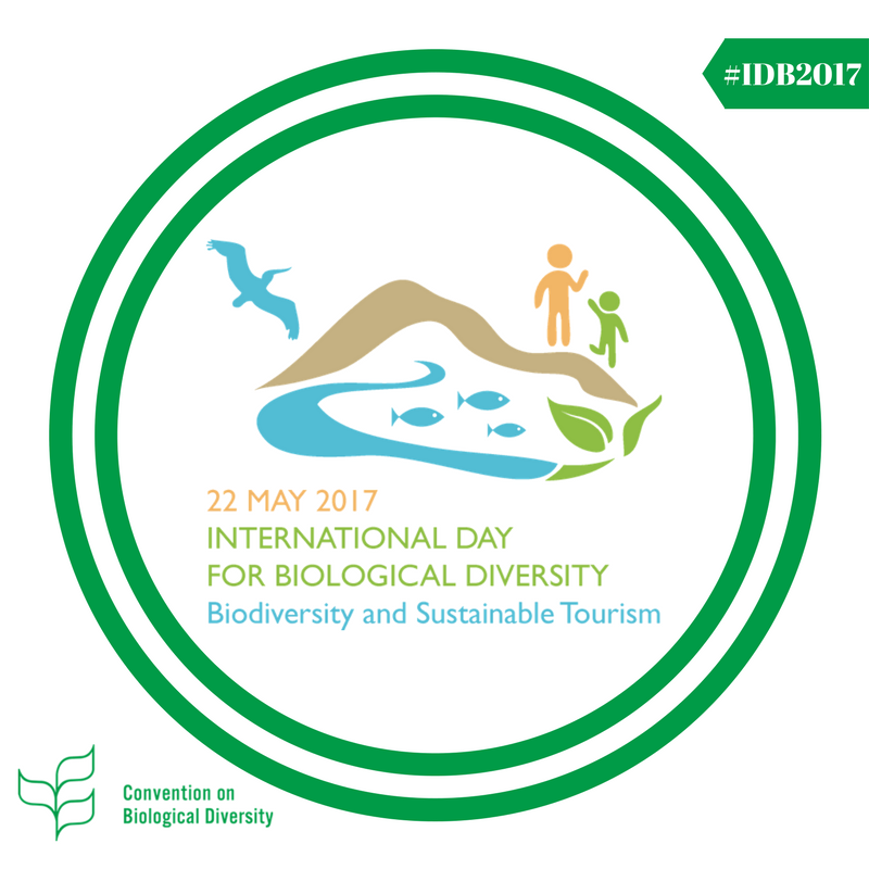 IEcologiaUNAM's tweet photo. El #diadelabiodiversidad 2017 señala la importancia del turismo sostenible para la conservación de la biodiversidad. https://t.co/AxM8yB2IEt https://t.co/9XrcMMYRb6