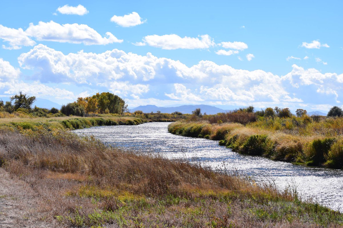 MooreCharitable's tweet photo. Read this to learn about two aquifers that lie beneath the #SanLuisValley floor via @AlamosaNews #MooreRivers https://t.co/wpPtqM2BX0 https://t.co/rB6BrNZib8