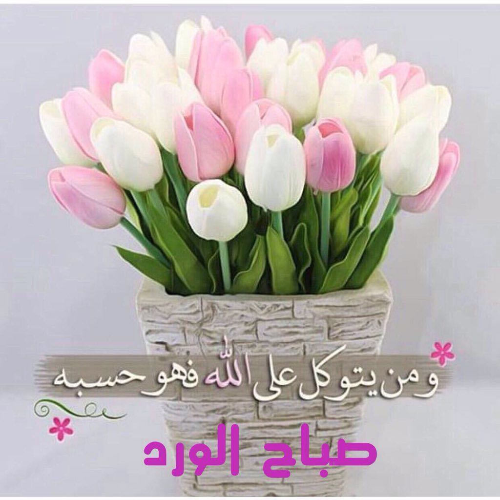 قادح العاصمة (@nayef1990naa) on Twitter photo 