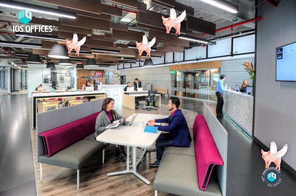 lorecaballero's tweet photo. Cuando los #CerdosVuelen tendré mi propia oficina en IOS OFFICES #Esediaeshoy #OficinasQueInspiran https://t.co/LHBdUYvGHL