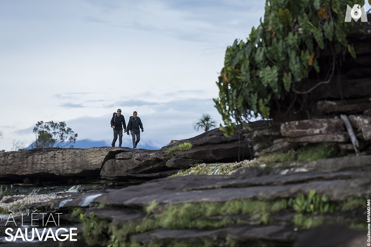 M6's tweet photo. . @ExploreMikeHorn emmènera @CDechavanne dans la région la plus sauvage du Venezuela, "le monde perdu" #ALEtatSauvage https://t.co/c9z14gZkk1