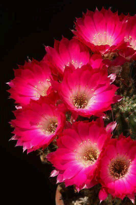 <a href="/MoreiEnf/">Jorge Moreira</a> <a href="/sarmila_roy/">Sarmila Roy</a> @BabitaS76495553