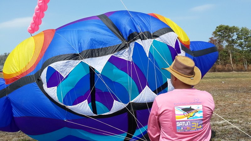Eden Kite Festival tweet media