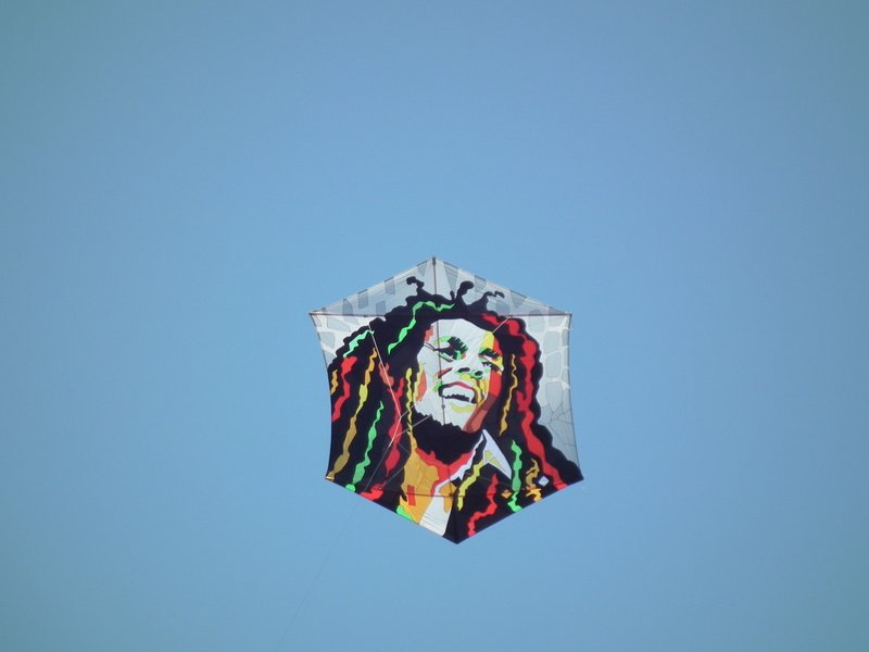 Eden Kite Festival tweet media