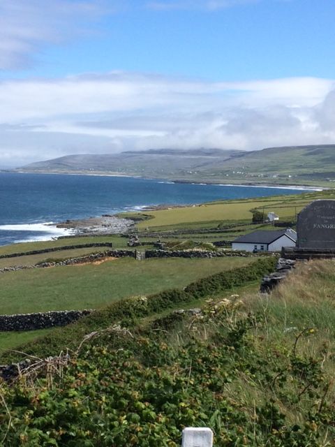 FlogasIreland's tweet photo. Some great photos from @AnthonyMulliga3 on the #TeamYesChef cycle Day 1! https://t.co/My56ZVFaNx
