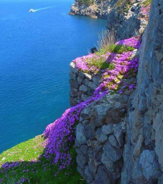 @malhotrapummy11 <a href="/tantechrisje/">Marie-Christine</a> <a href="/eoff_sylvia/">Sylvia</a> Good afternoon