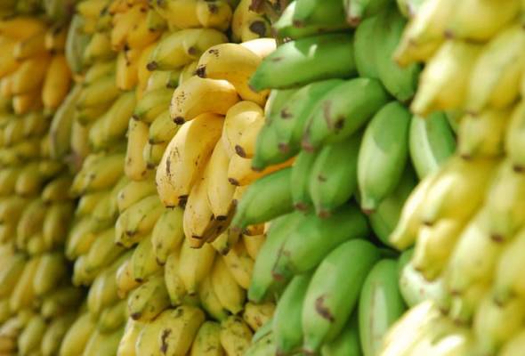 PANAsiaPacific's tweet photo. #StandWithMarbai stand for #PesticidesFreeWorld READ: Bullets & bananas https://t.co/FJUA9hggPX SIGN & TAKE ACTION: https://t.co/im2QhcSh9b https://t.co/VfvSF8kytL