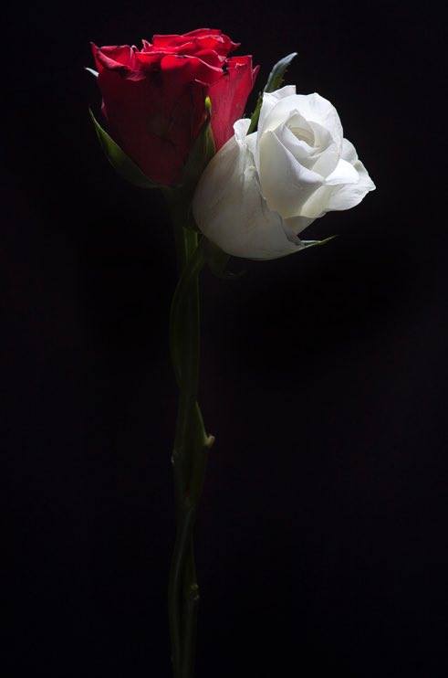 yorkshirepost's tweet photo. #StandTogether for #Manchester: #Leeds and #Yorkshire stands with you https://t.co/jsU9rwTtZl