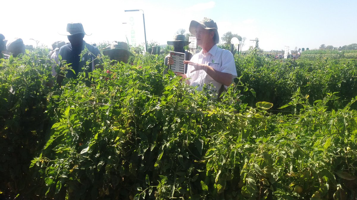 Lenox Mhlanga tweet media