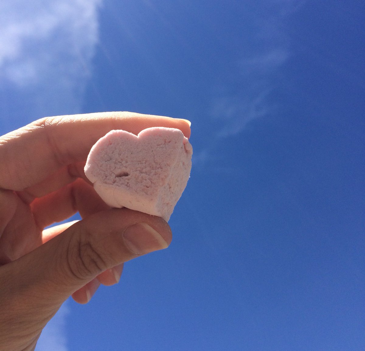 goodmallows's tweet image. We ❤️☀️ (&amp;amp; so do our mallows!) Hope you're off having sun-shiny adventures with your Goodmallows. Be sure to tag us so we can share the fun!